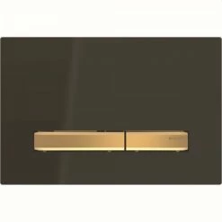Geberit Betätigungsplatte Sigma50, Für 2-Mengen-Sp. Messing, Schwarz, 115672DW2