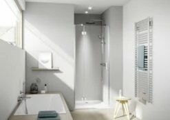 Kermi Schwingtür Liga SFL 1000x2000 BV: 980-1010, Silber Hochglanz ESG Klar