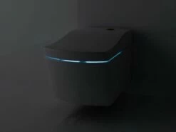 TOTO NEOREST AC Wand-WC 2.0 Randlos Weiß Für Washlet AC Tornado Flush Tiefspüler, CW996PVD#NW1 14 TOTO NEOREST AC Wand-WC 2.0 Randlos Weiß Für Washlet AC Tornado Flush Tiefspüler, CW996PVD#NW1 -Grohe Verkauf TOCW996PVDNW1 4 600x600