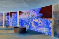 Bette Badewanne Sonderform Oval Pond 7 Bette Badewanne Sonderform Oval Pond -Grohe Verkauf bemid428121 600x600