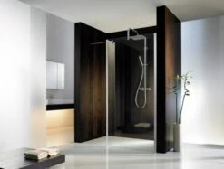 HSK Walk In Atelier Frontelement + Festes Seitenteil