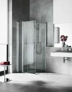 Kermi Seitenwand Diga TBL 0750x2000, Silber Hochglanz, ESG Klar, DITBL07520VAK