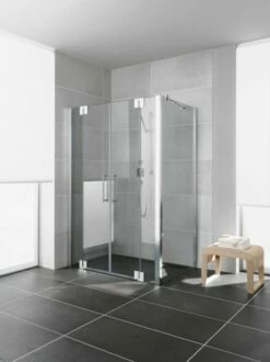 Kermi Pendeltür Pasa XP PTF 1700x1850, Silber Mattglanz, ESG Klar, PXPTF170181AK